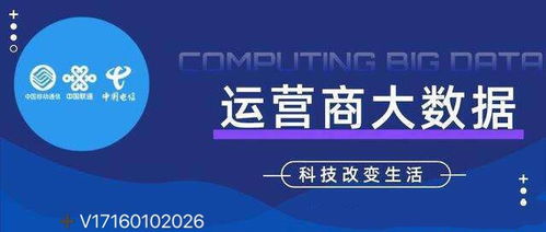運(yùn)營商大數(shù)據(jù)的精準(zhǔn)客戶獲取與大數(shù)據(jù)服務(wù)實(shí)踐