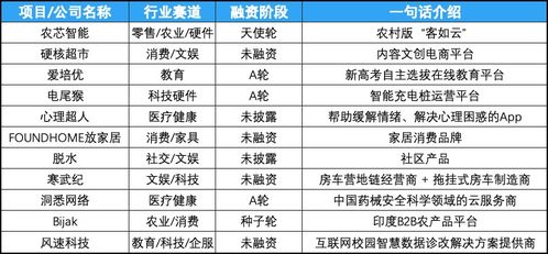 創(chuàng)投周報(bào) vol.38 融資熱度沖高，企服賽道領(lǐng)跑，酷家樂、KK集團(tuán)登頂金額榜，十家早期公司展現(xiàn)數(shù)據(jù)新勢(shì)力